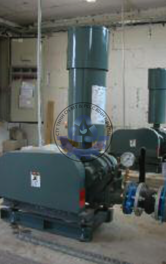 107387094_2933598066738084_6465320389322896028_n