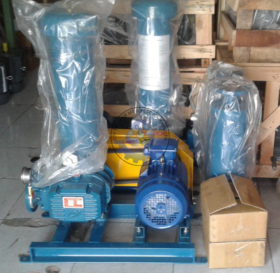 119453013_245773080559942_6694748425875761102_n