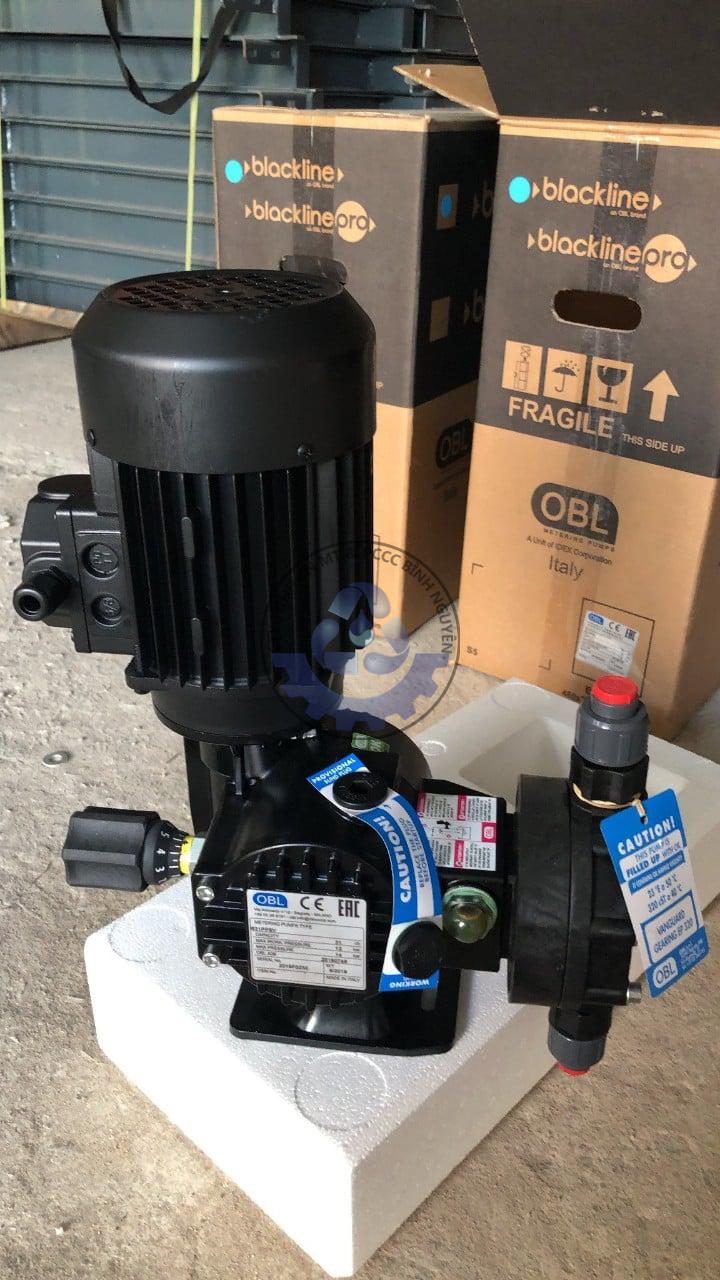 242413053_137828001898729_2744685276812332360_n