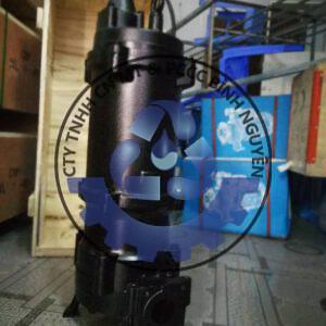 Bơm Chìm Nước Thải CNP 50WQ10-13-1.1(I)
