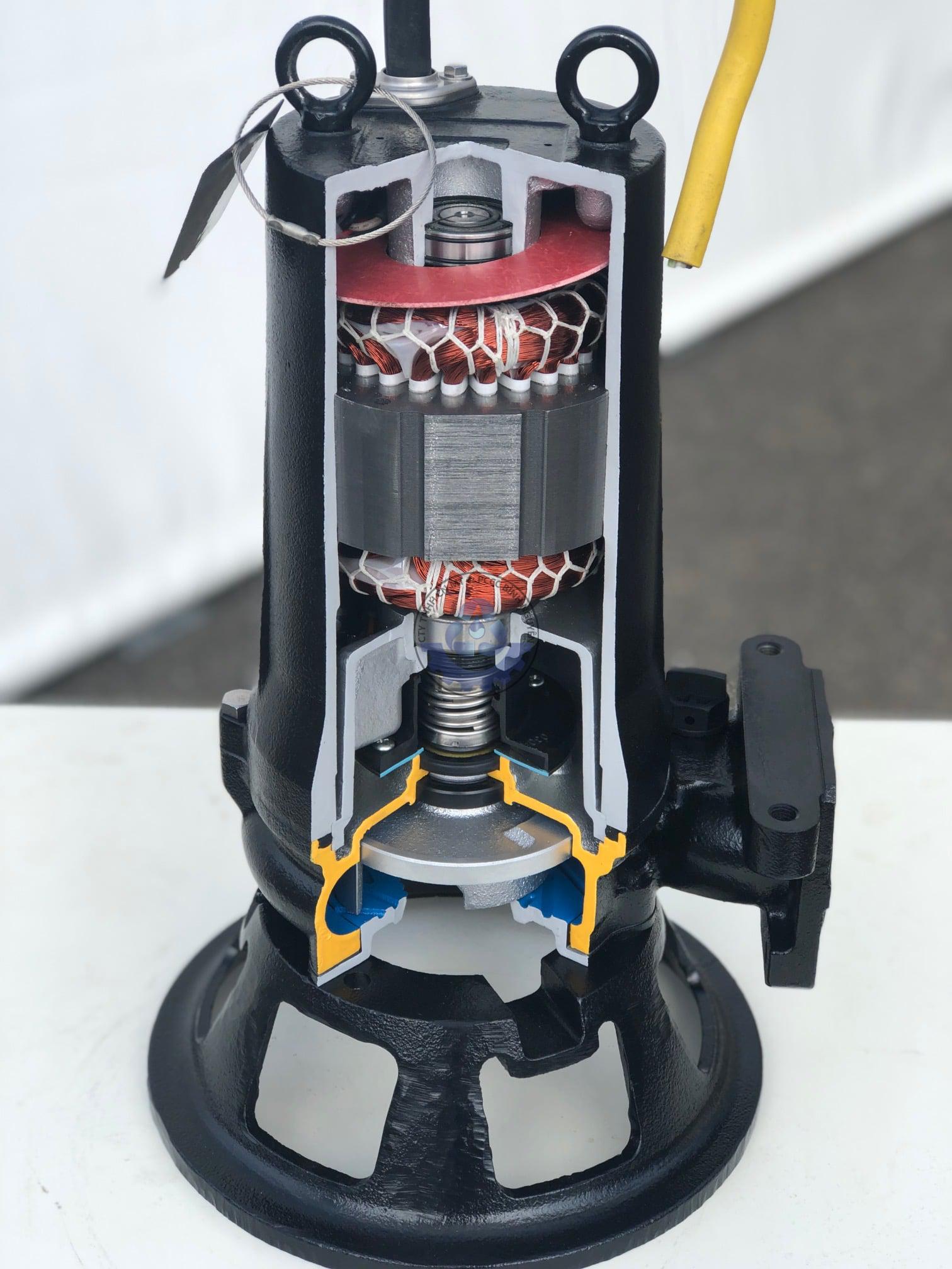 70502015_2295000413931189_3071008179073581056_o