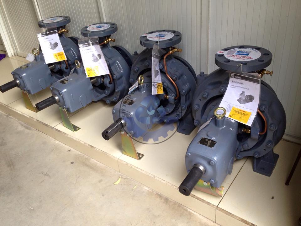 13934634_539721662878594_6791131844760384310_n