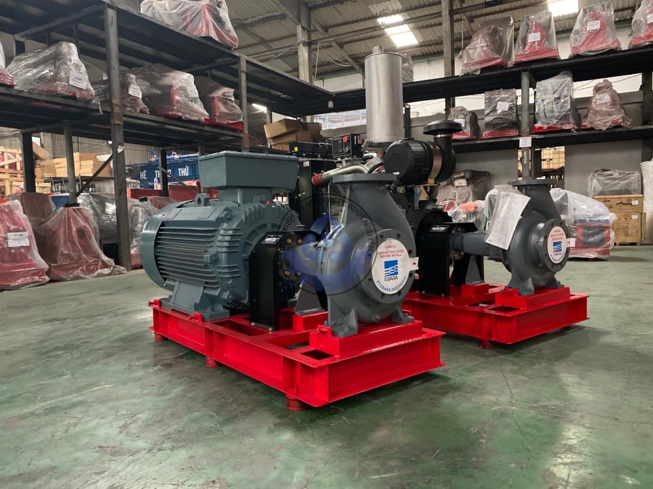 242529667_4601914456537989_4544551365660154056_n