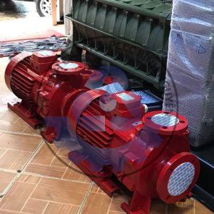 Máy Bơm SAER IR65-160B