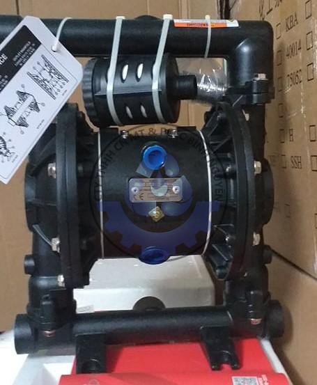 79323953_2828665793851258_1791301778214486016_n