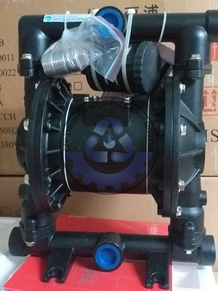 80058004_2847782135272957_5259681104608100352_n