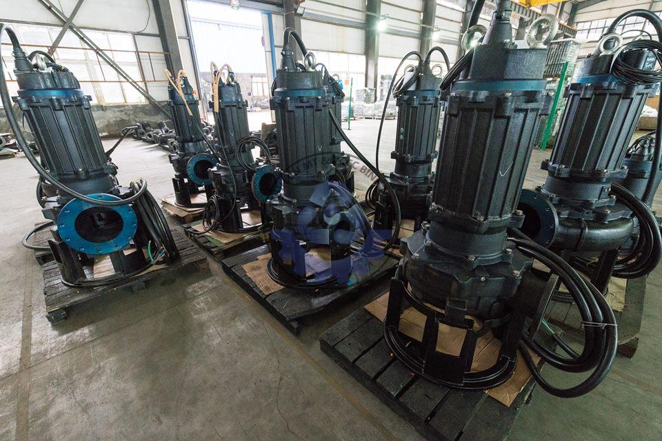 53378248_1650359435110863_8835732830160945152_n