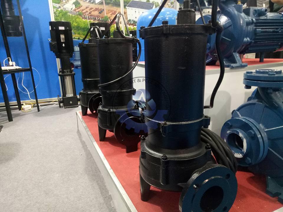 67548931_1107838492744307_7297312606006542336_n