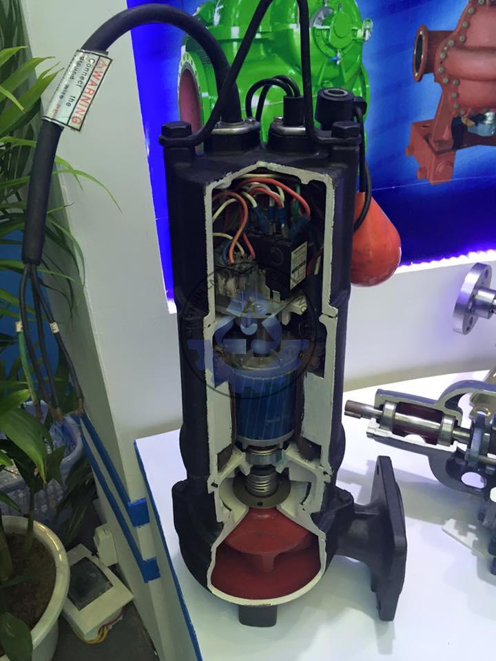 12295408_1687397248183728_4526345519996282061_n