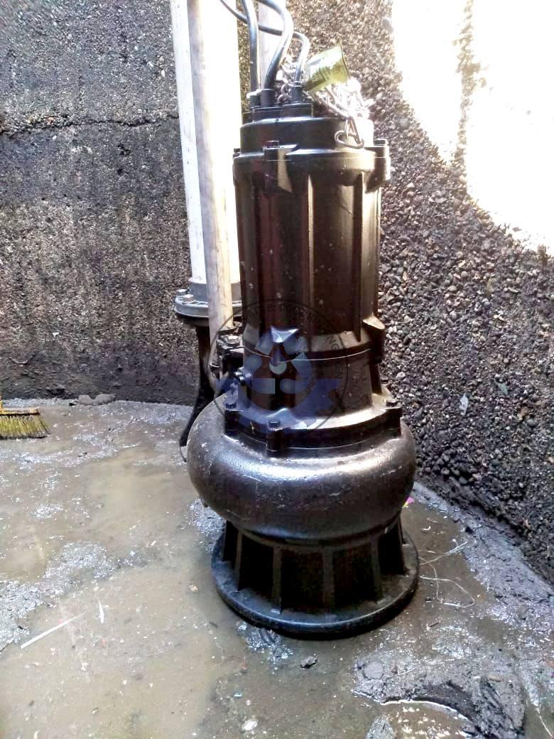 149660553_3791629690914438_5206693707707995594_n