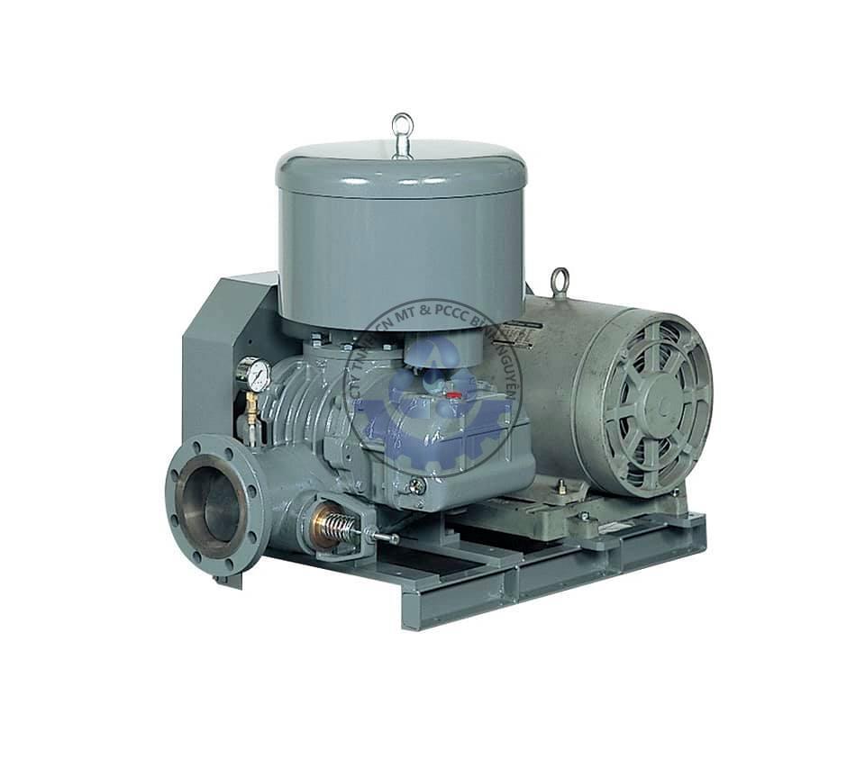 166700805_216263186922412_8235089291047363630_n