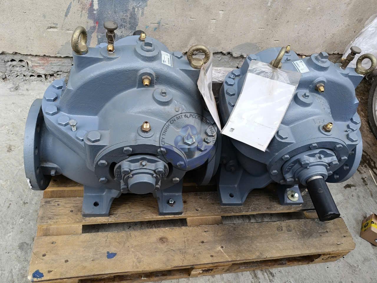 480771124_1117721730100424_5688894134687887520_n