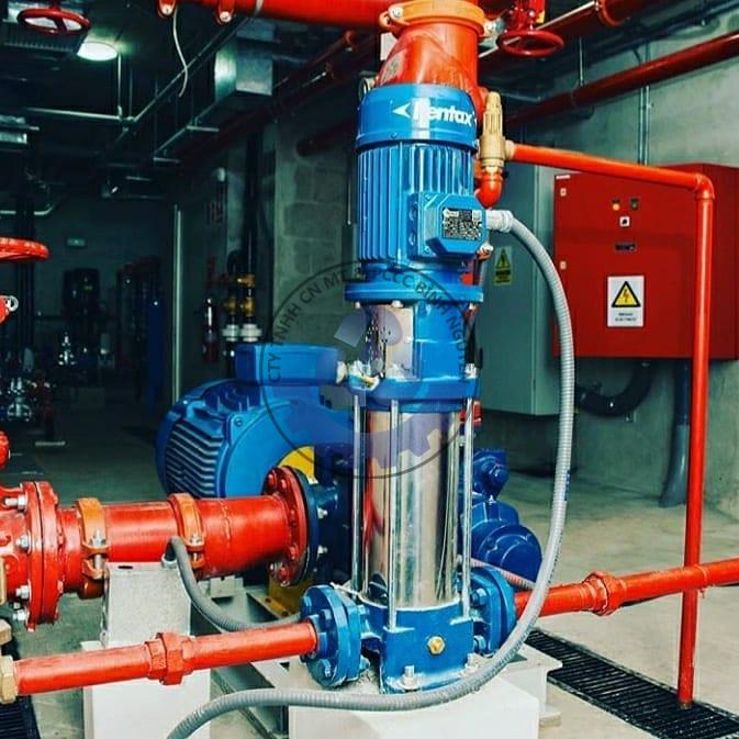 123819424_107547631165553_2282778508044231173_n