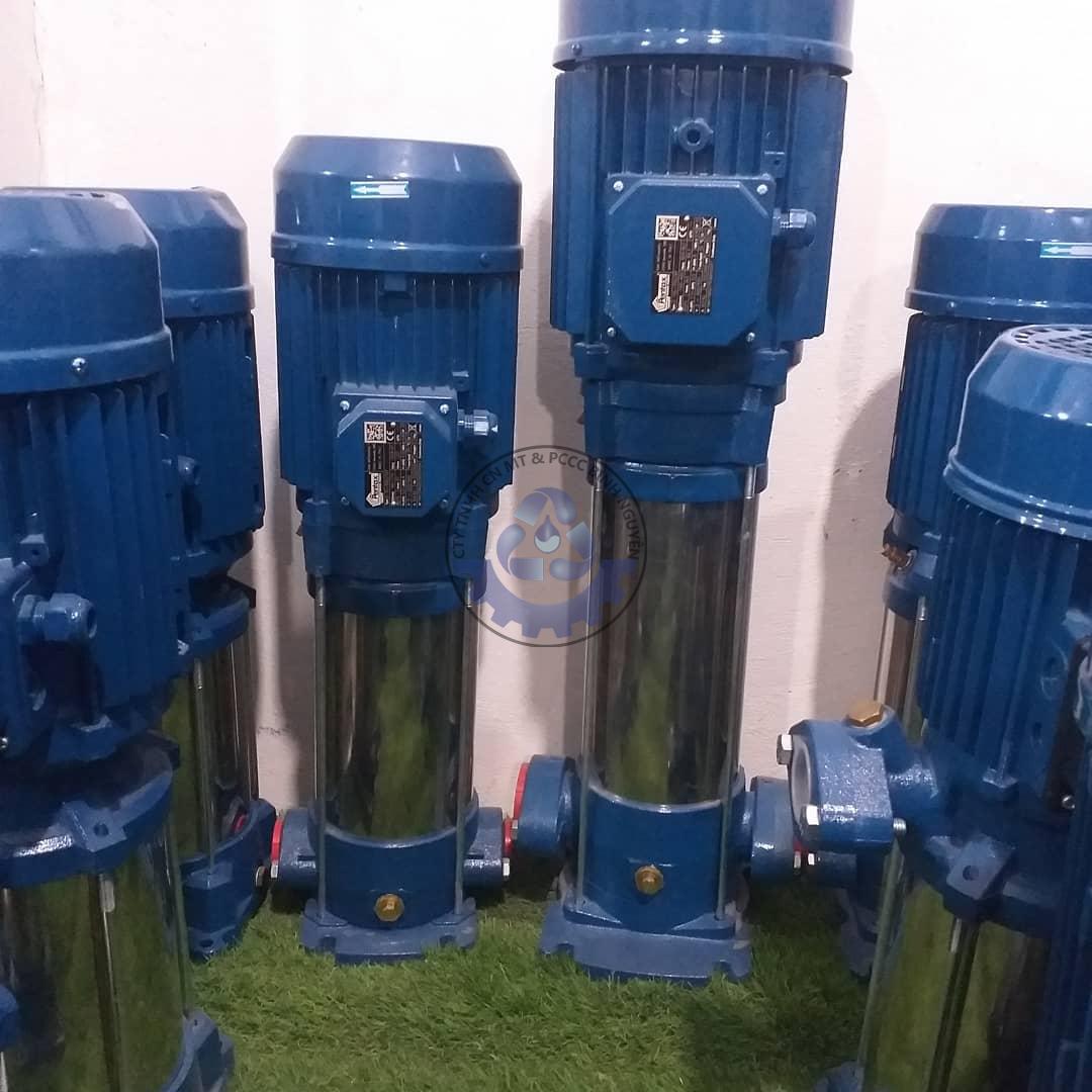 126512523_122309156356067_6108047503334082871_n