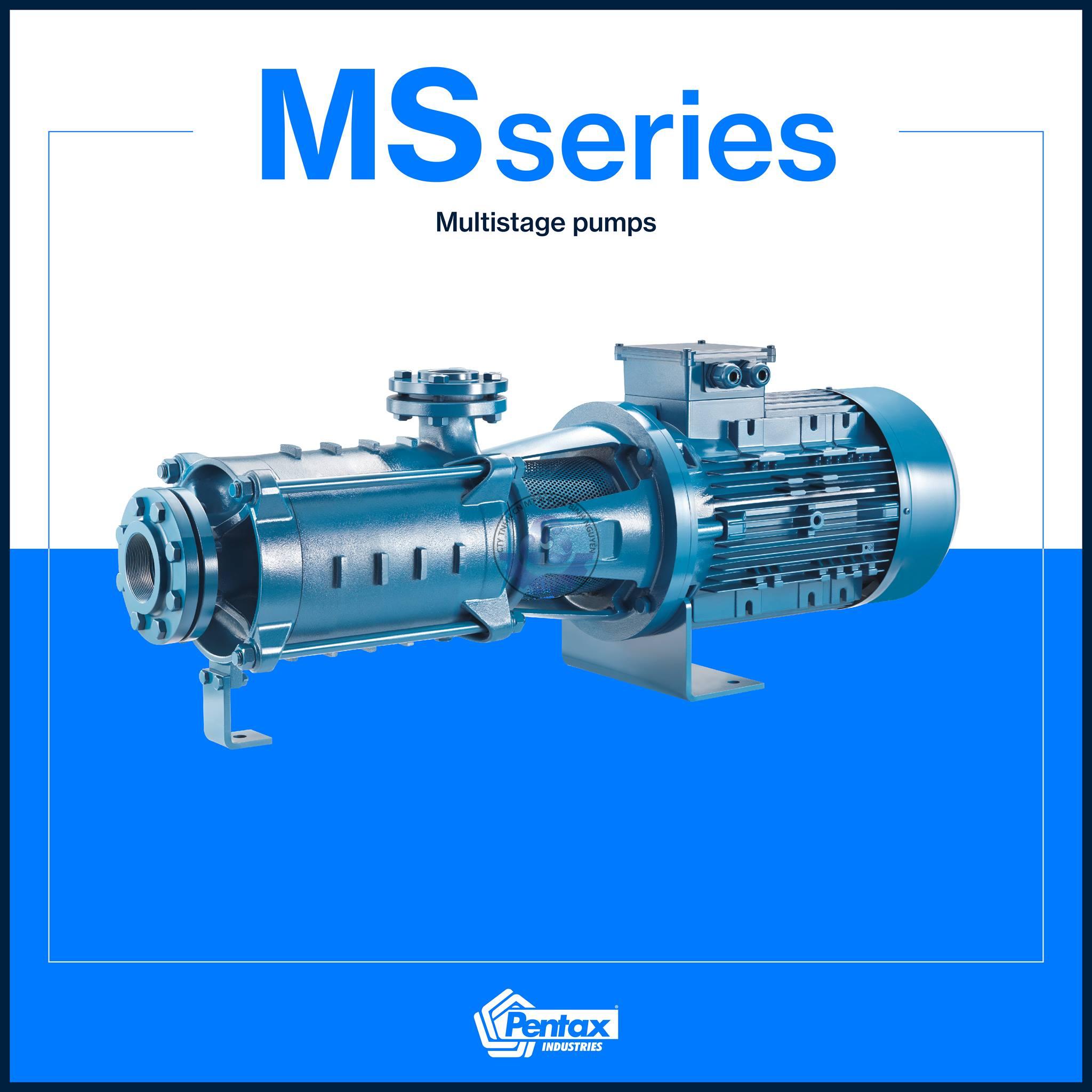 273885886_108345585109774_5335820105333888154_n