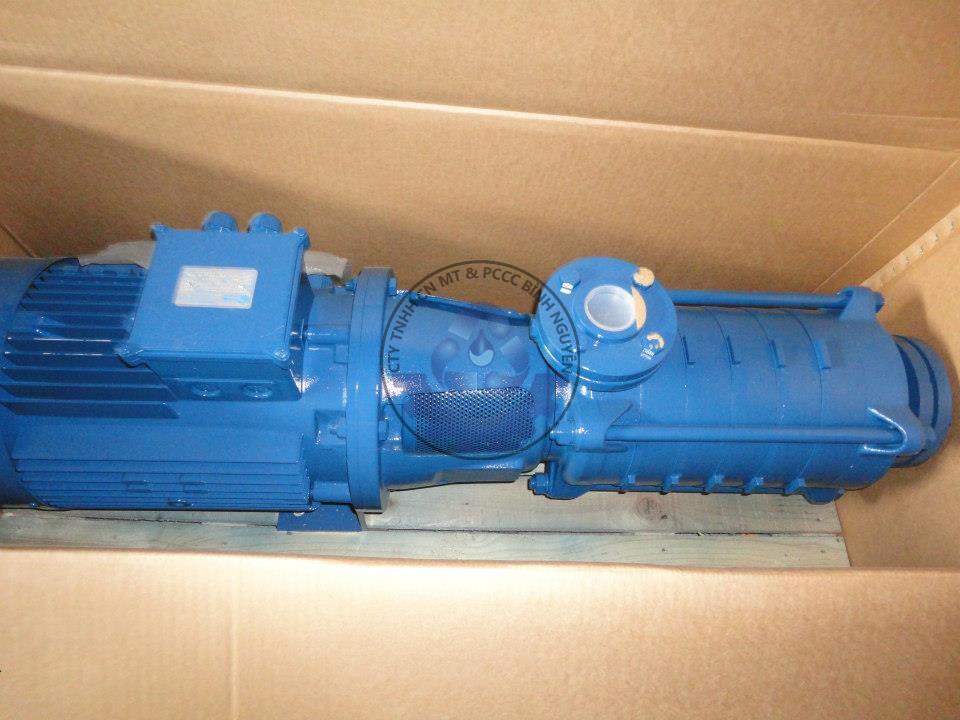 3843_136893079800178_2143154116_n