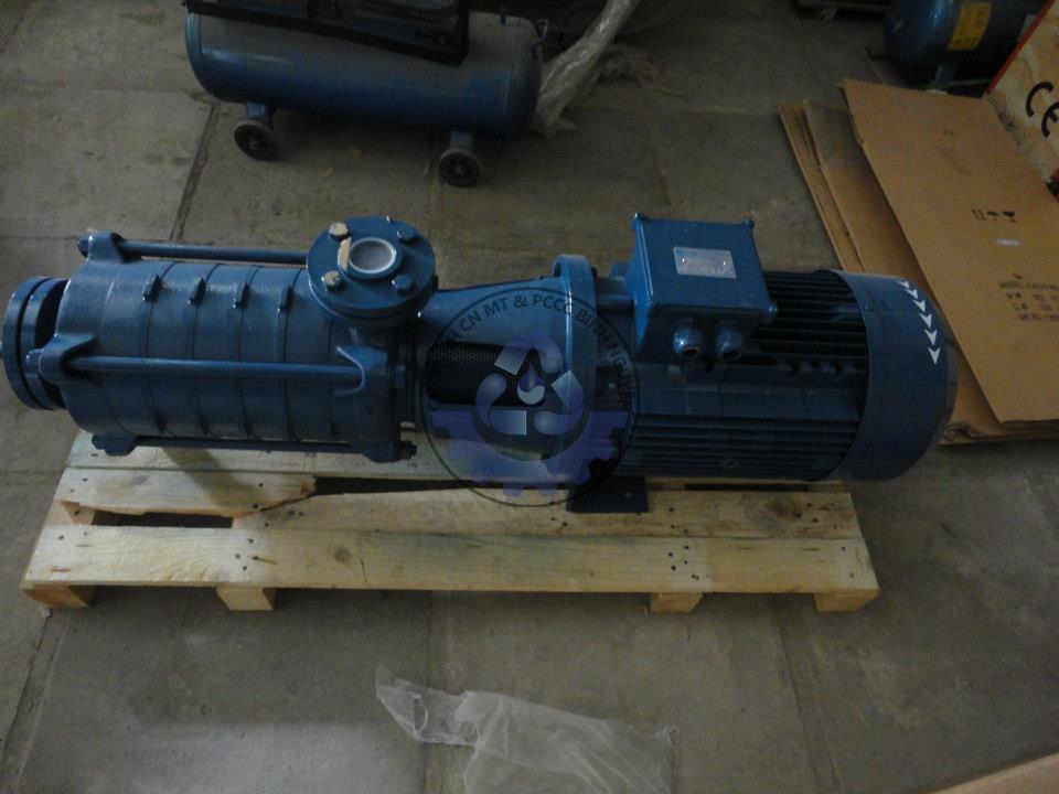 60043_136892876466865_373319868_n