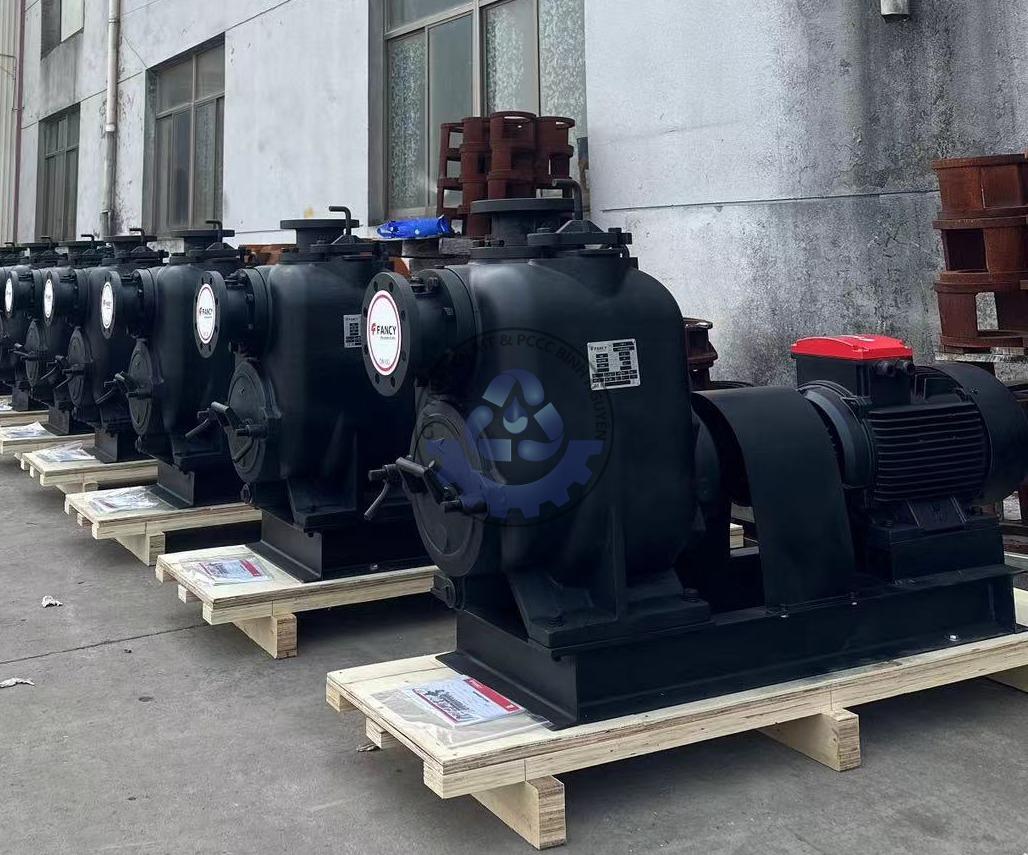 489791889_632312463109618_1815528231297049030_n