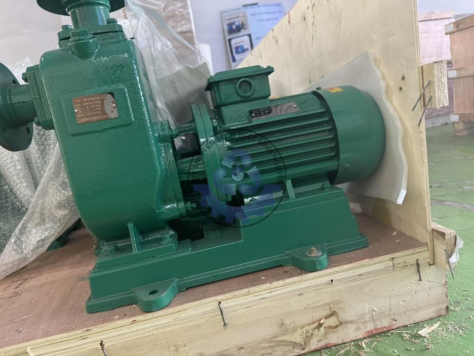 510156232_122106642596908910_260958801634768355_n