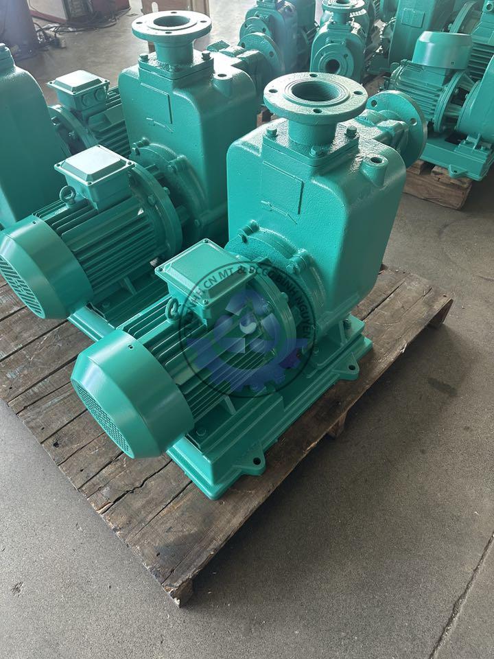 514348204_122232589670107550_6733020881765809463_n