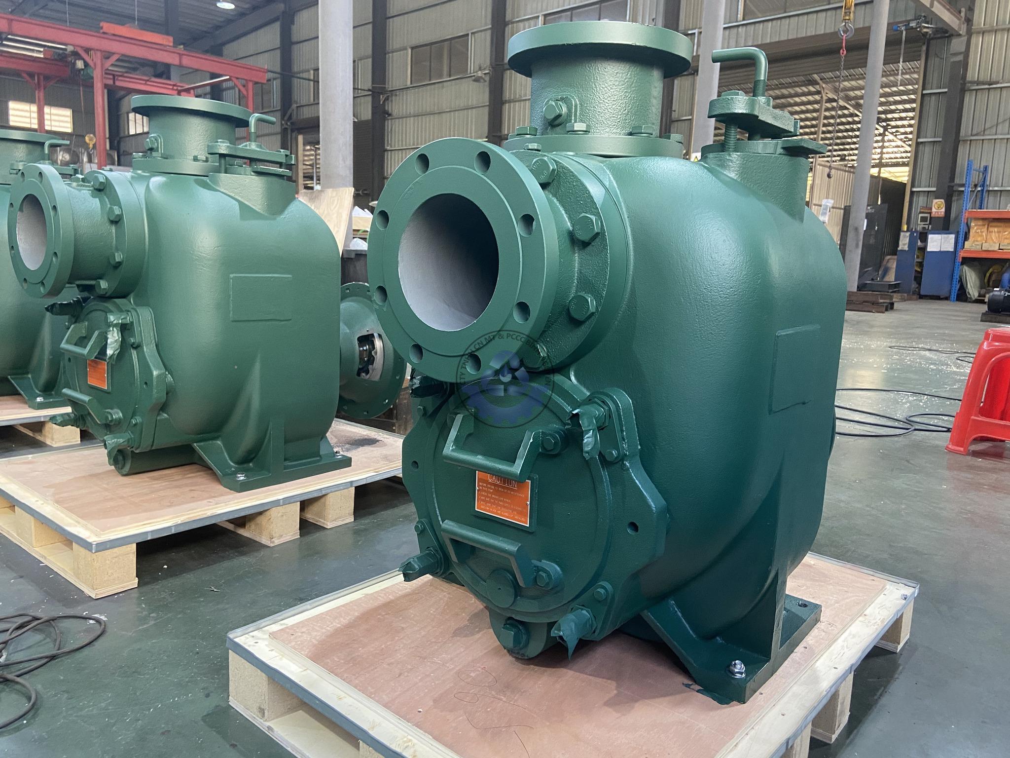 528875132_1713784139272291_8236900670703723411_n