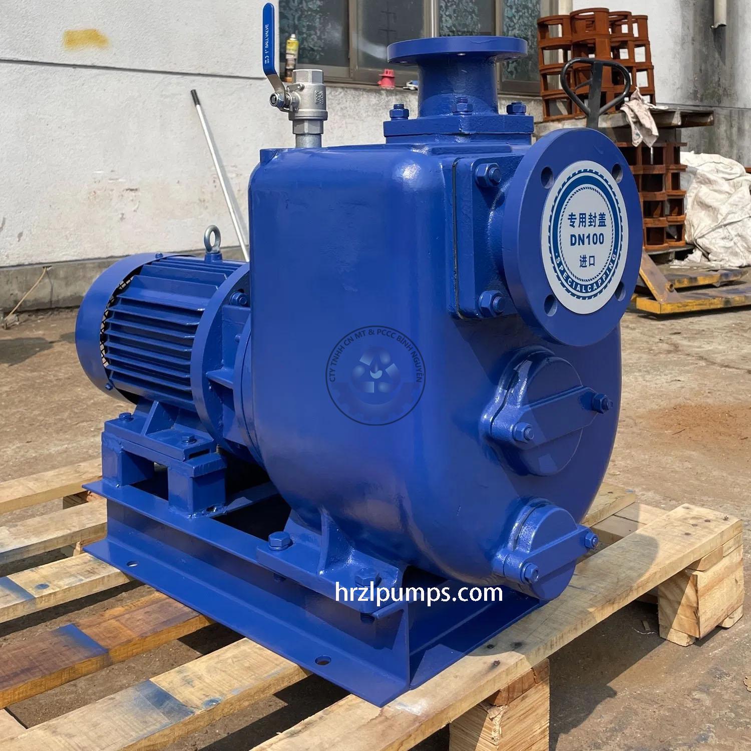 543111602_122169924914503579_2655174511908011011_n