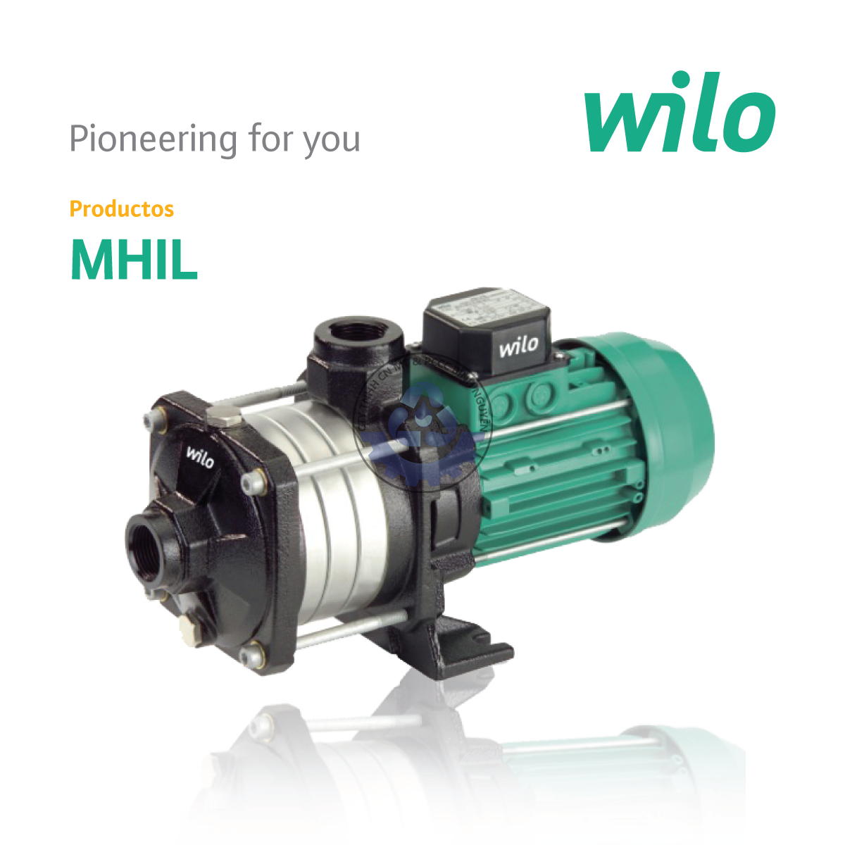 56158103_323930804973973_2049679292685615104_n