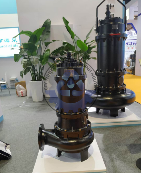 153742946_193392942543943_8169860089069309255_n