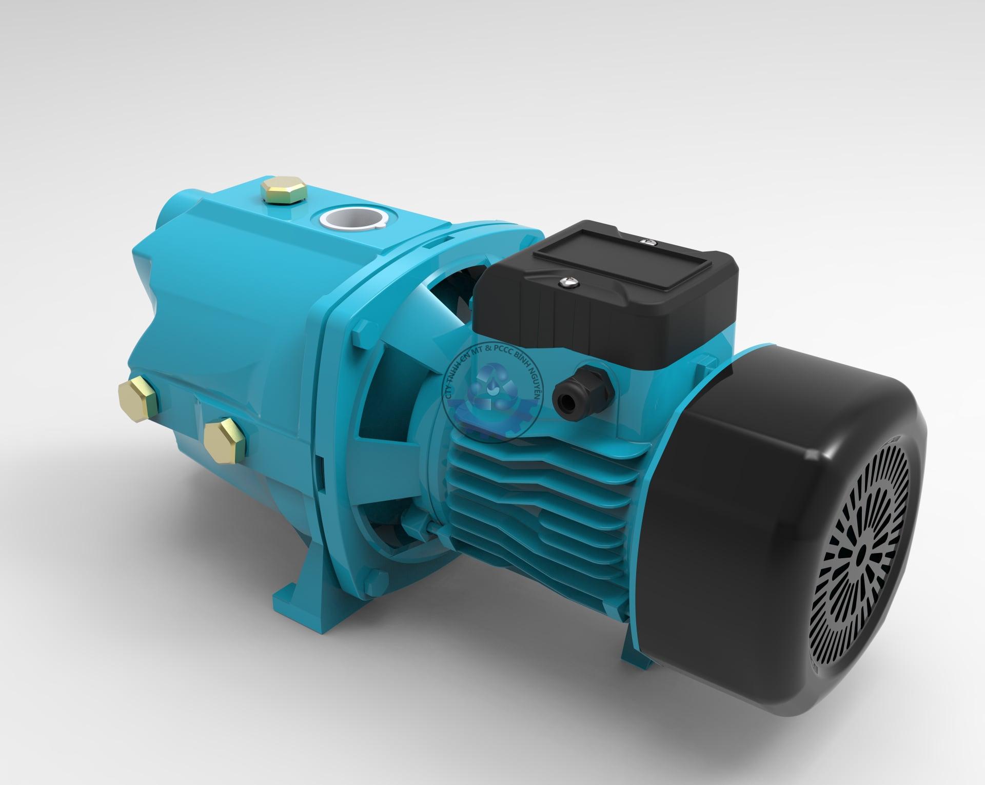 196595386_546505013426546_421754734465875445_n (1)