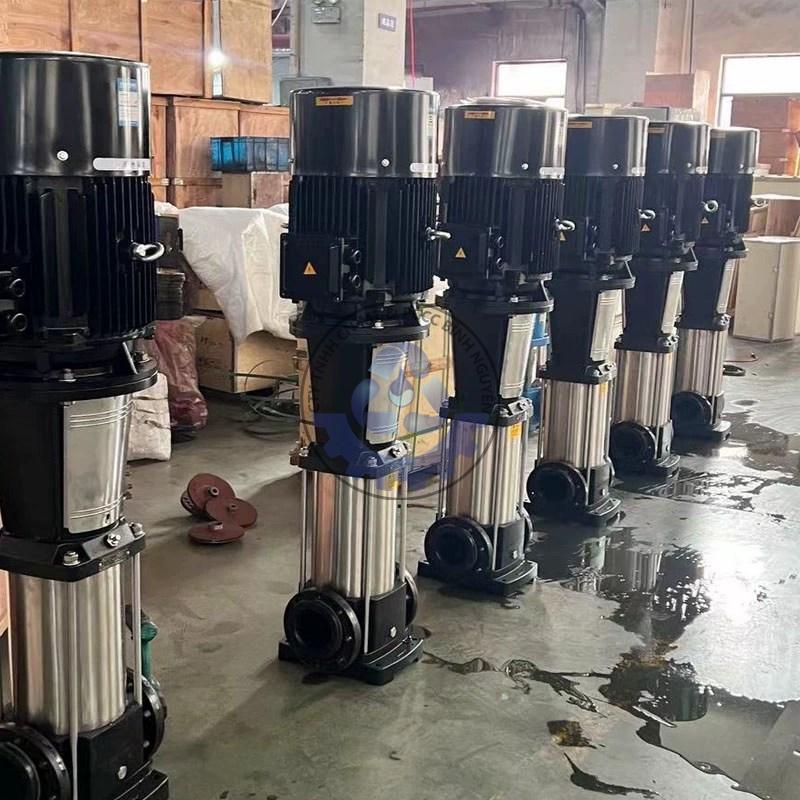 473243773_122132394488503579_5745728722950384156_n