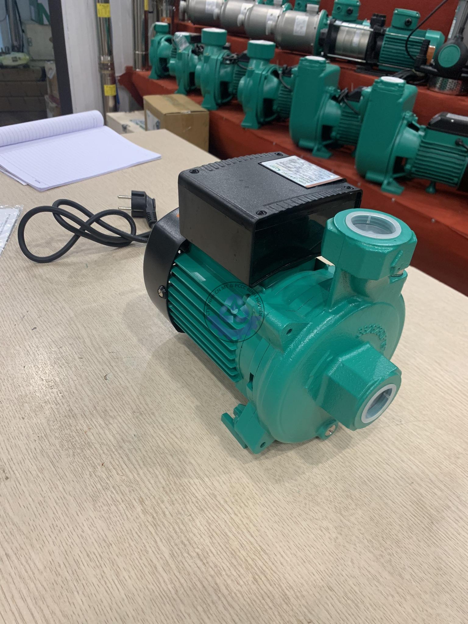 477365474_1116336020192482_8724598135924825319_n