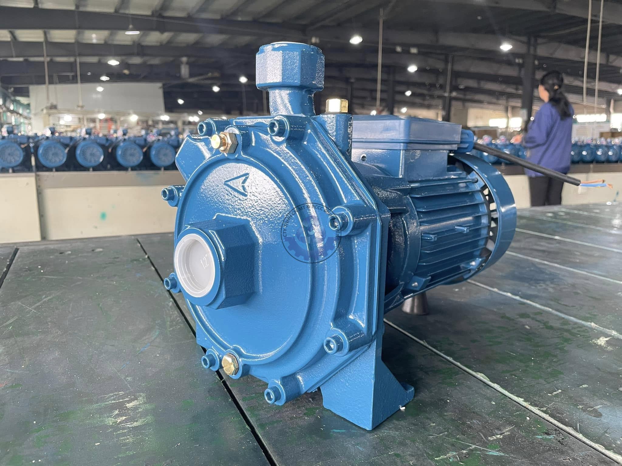 480881998_612045178127310_270223914073357405_n