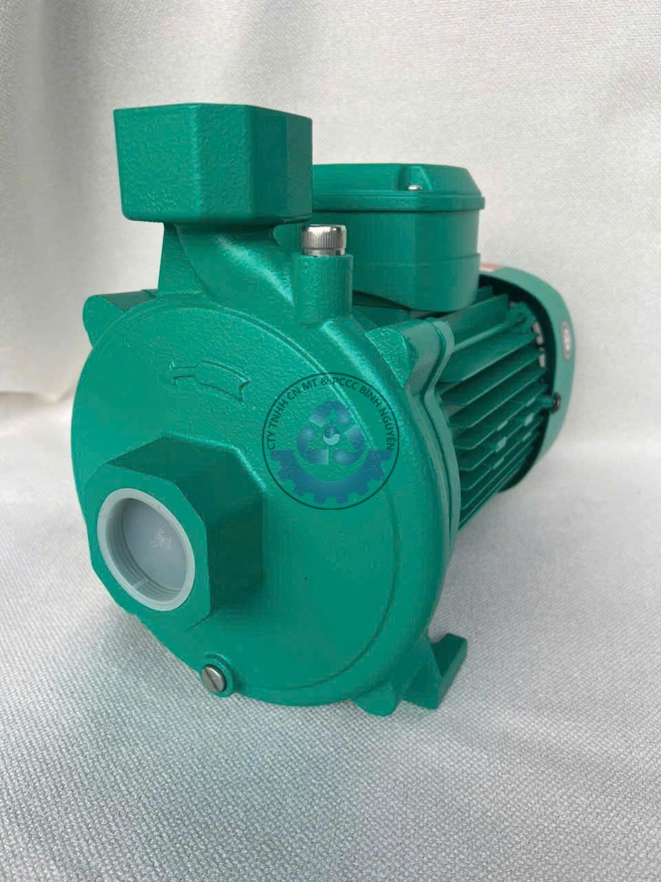 z7047434708515_88df3575ea336130967fc3ed8d9e568c