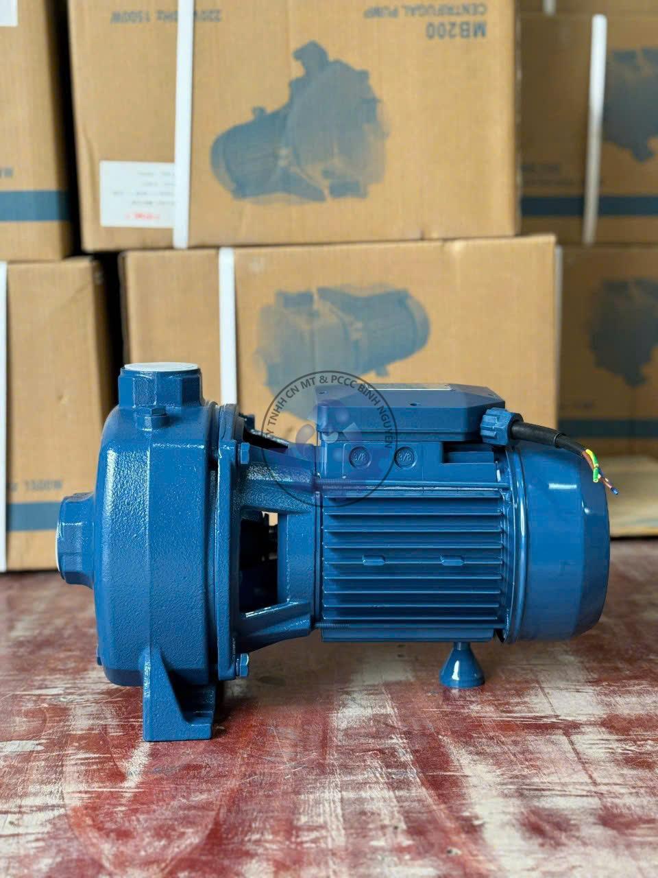 z7101100690273_92bafd4c99840575118ec2133701c33d