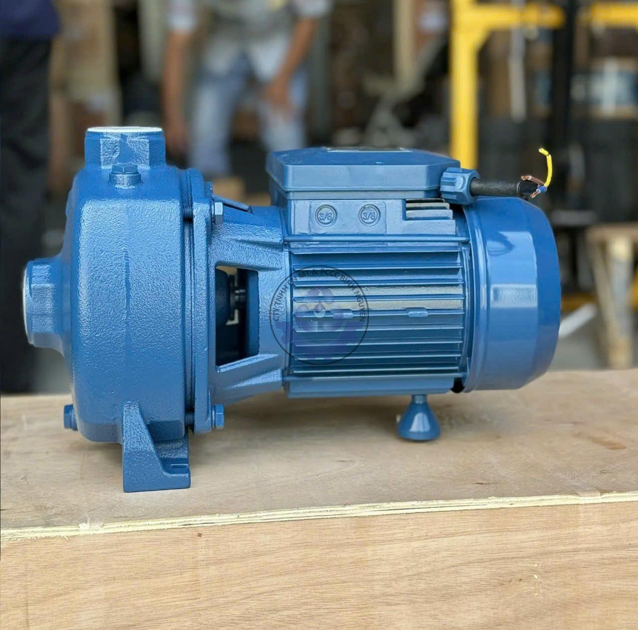 z7101106876182_60d8984592938c19f4eea1b5d38b8fbe