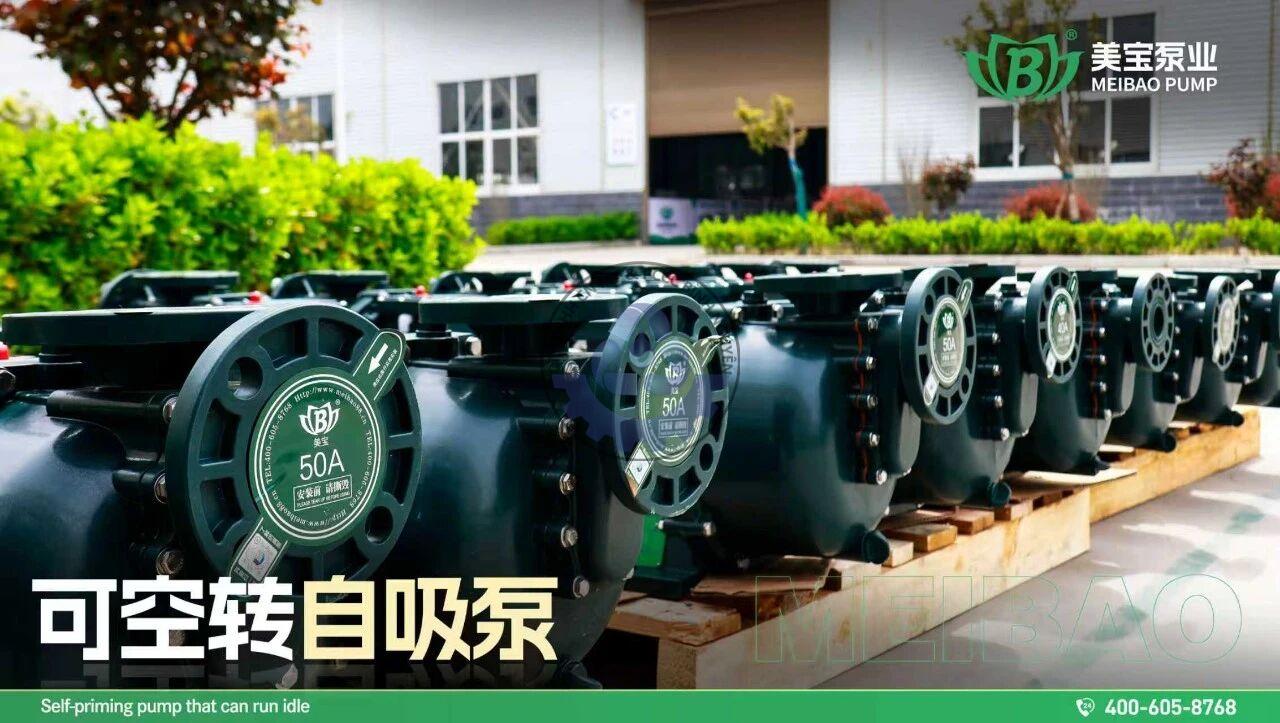 544983379_122117256890970251_5361250634096462636_n