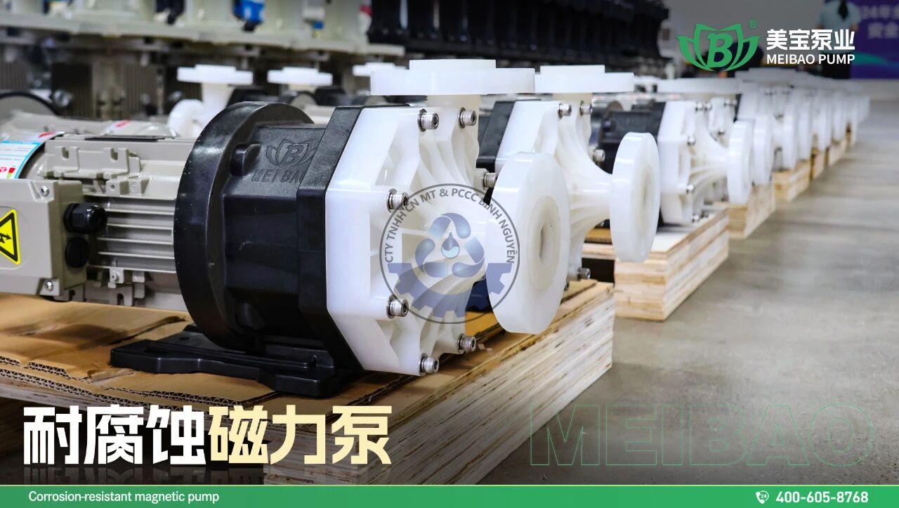 548023471_122119562258970251_6370114996147210877_n