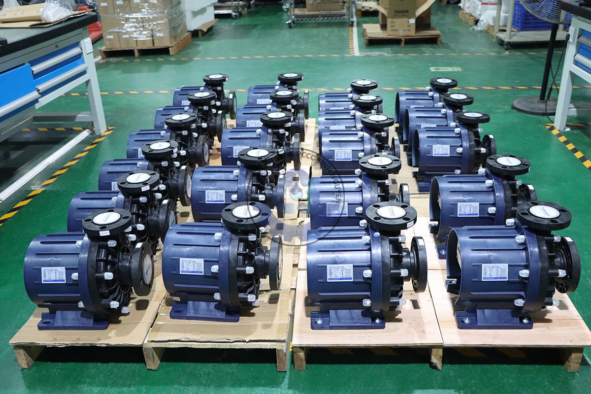 548209979_122144301116719838_7396682745732769079_n