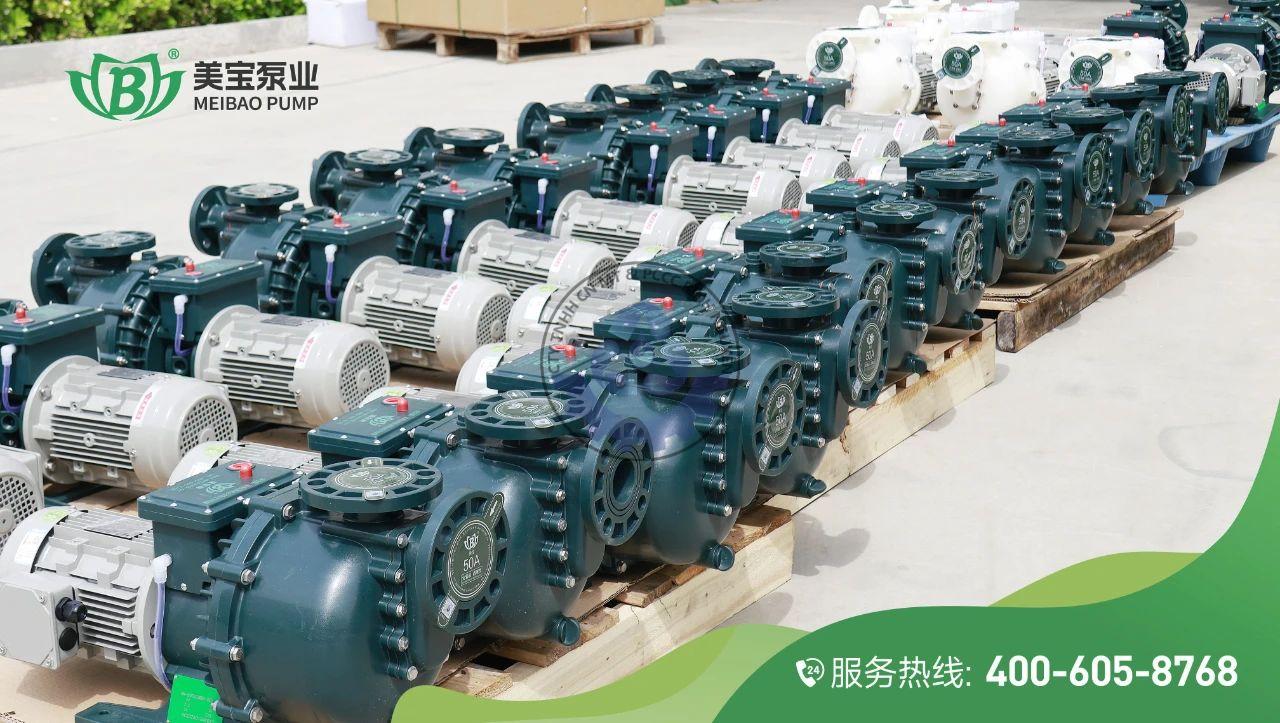 548719682_122120058812970251_6449949694304947747_n