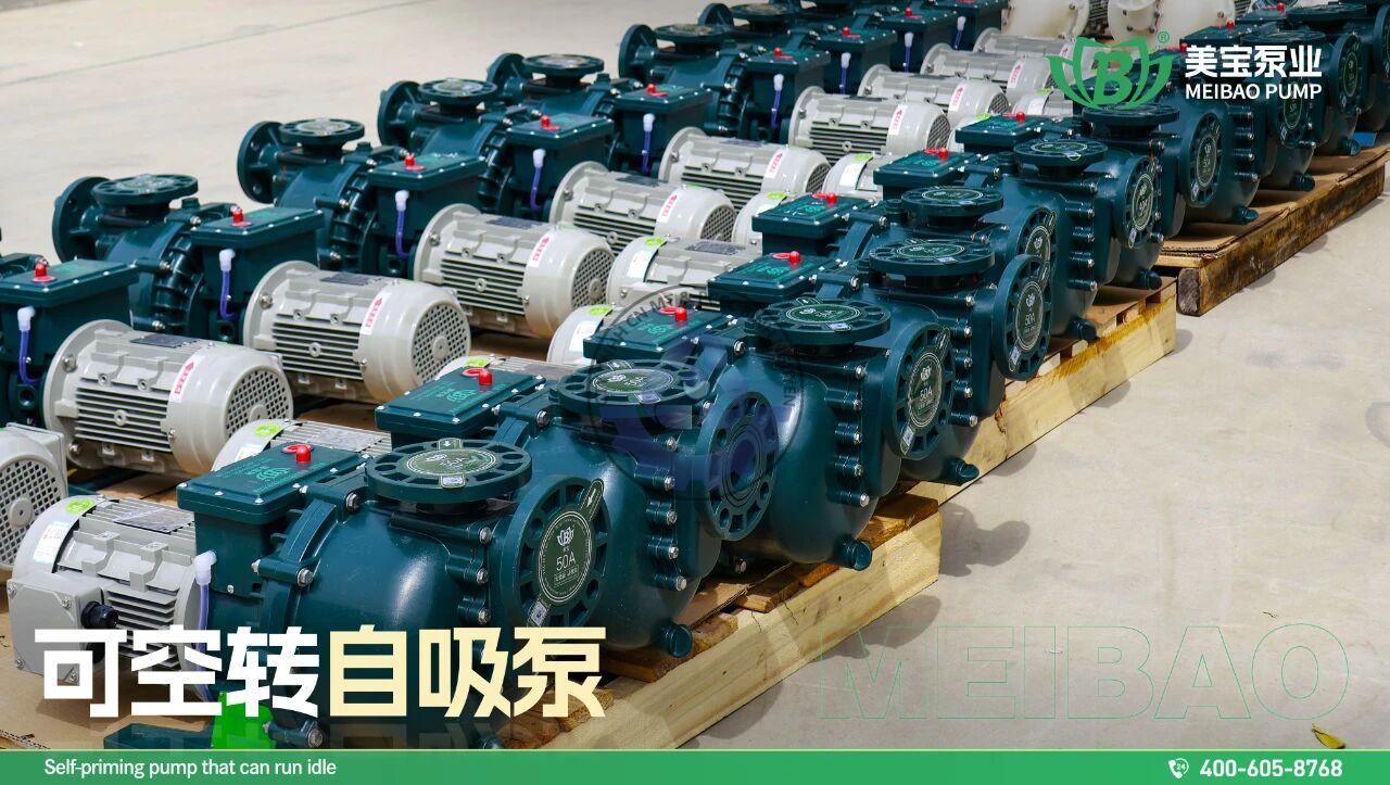 561535255_122125980914970251_1689849961066167446_n