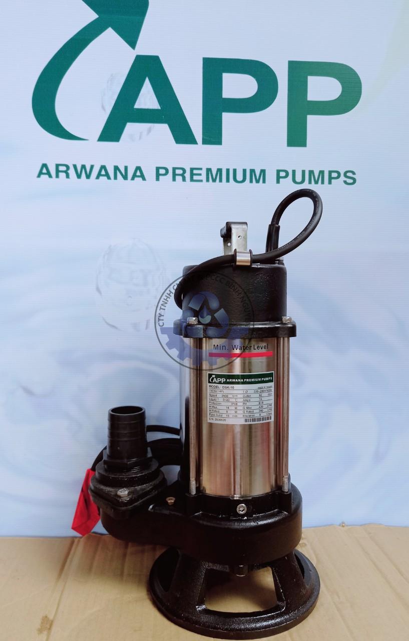 480492146_1731711074353999_4118990876396754944_n