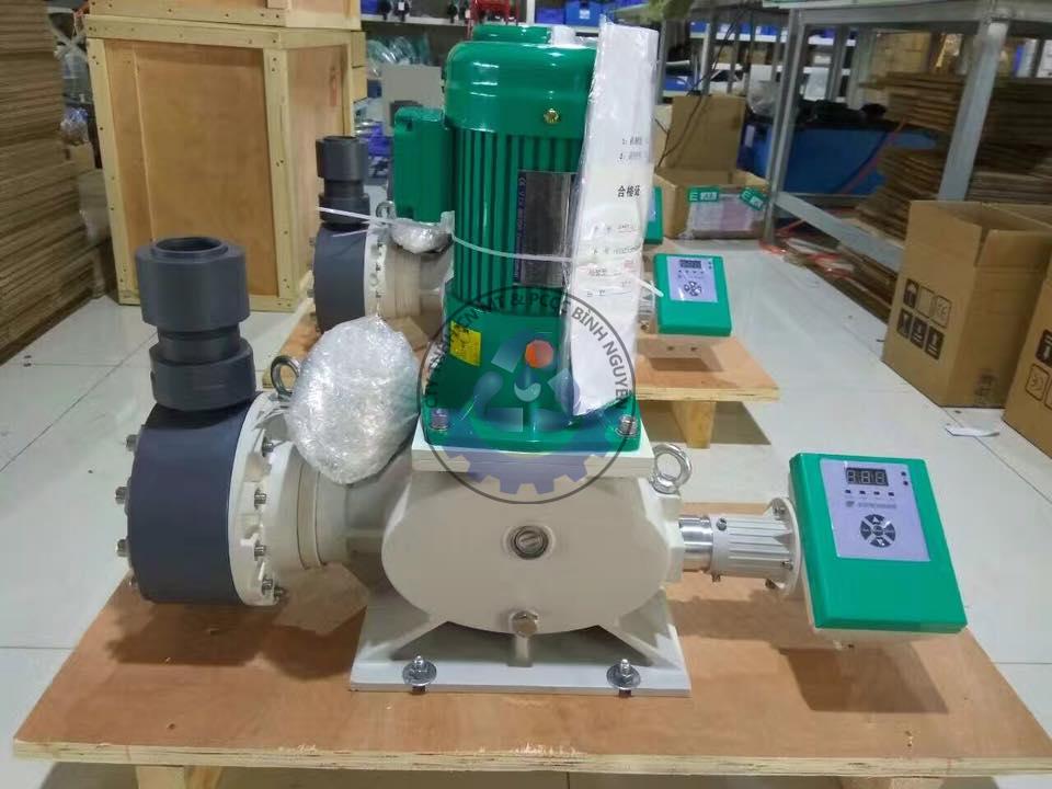 502687253_4184872531771318_4836809254102925263_n