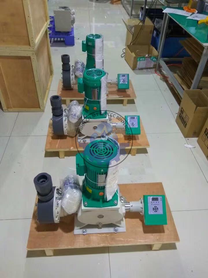 503124436_4184872498437988_6150912018022611675_n