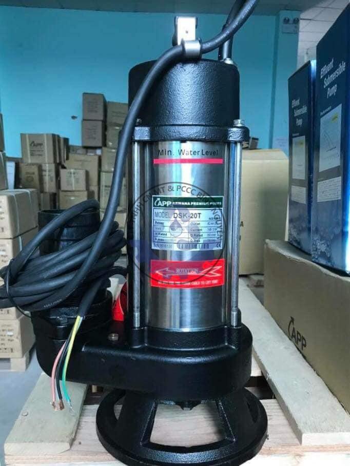 55576067_1028811930652761_9218447435943116800_n