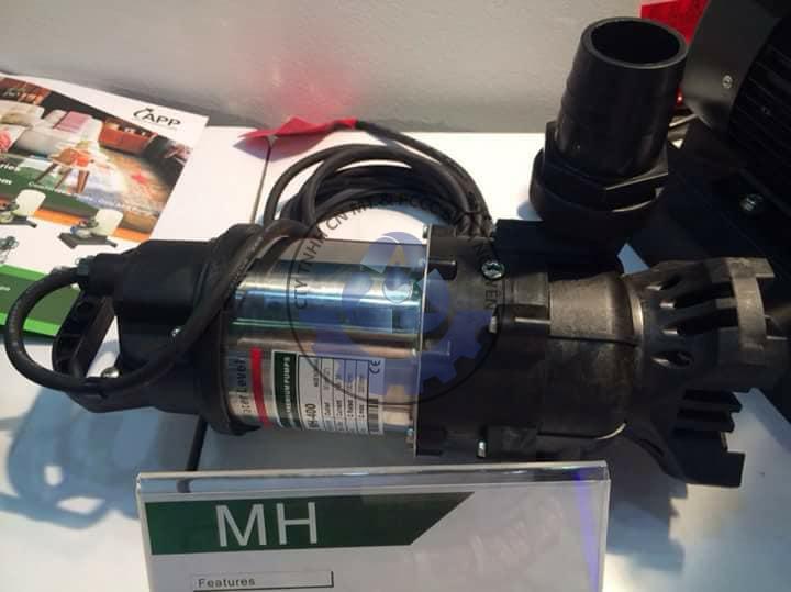 501167276_2721350771398860_8481096376018226079_n