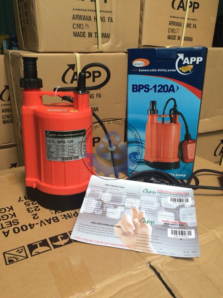 53548619_334740167384437_7166613267970785280_n