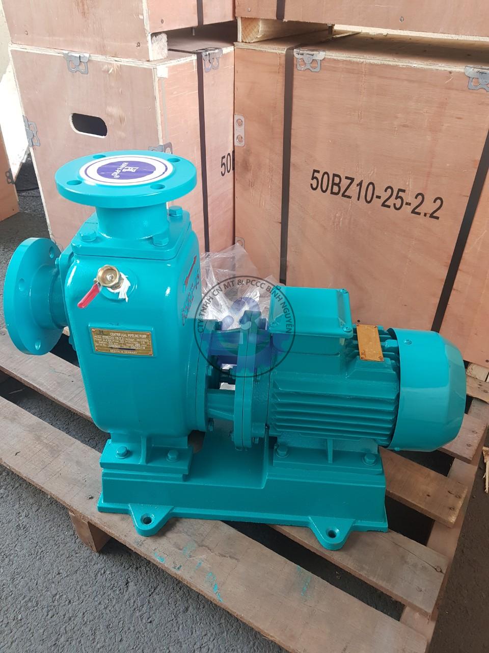 483101400_2146706249095419_8319018665072002996_n