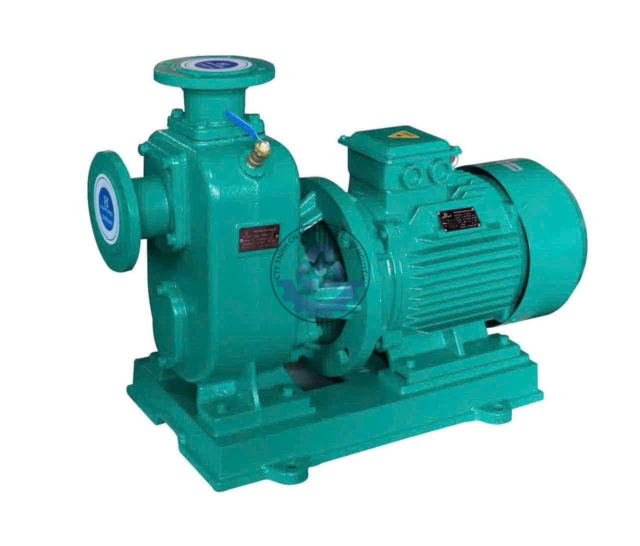 615144832_4302734846605463_9136742358736716118_n