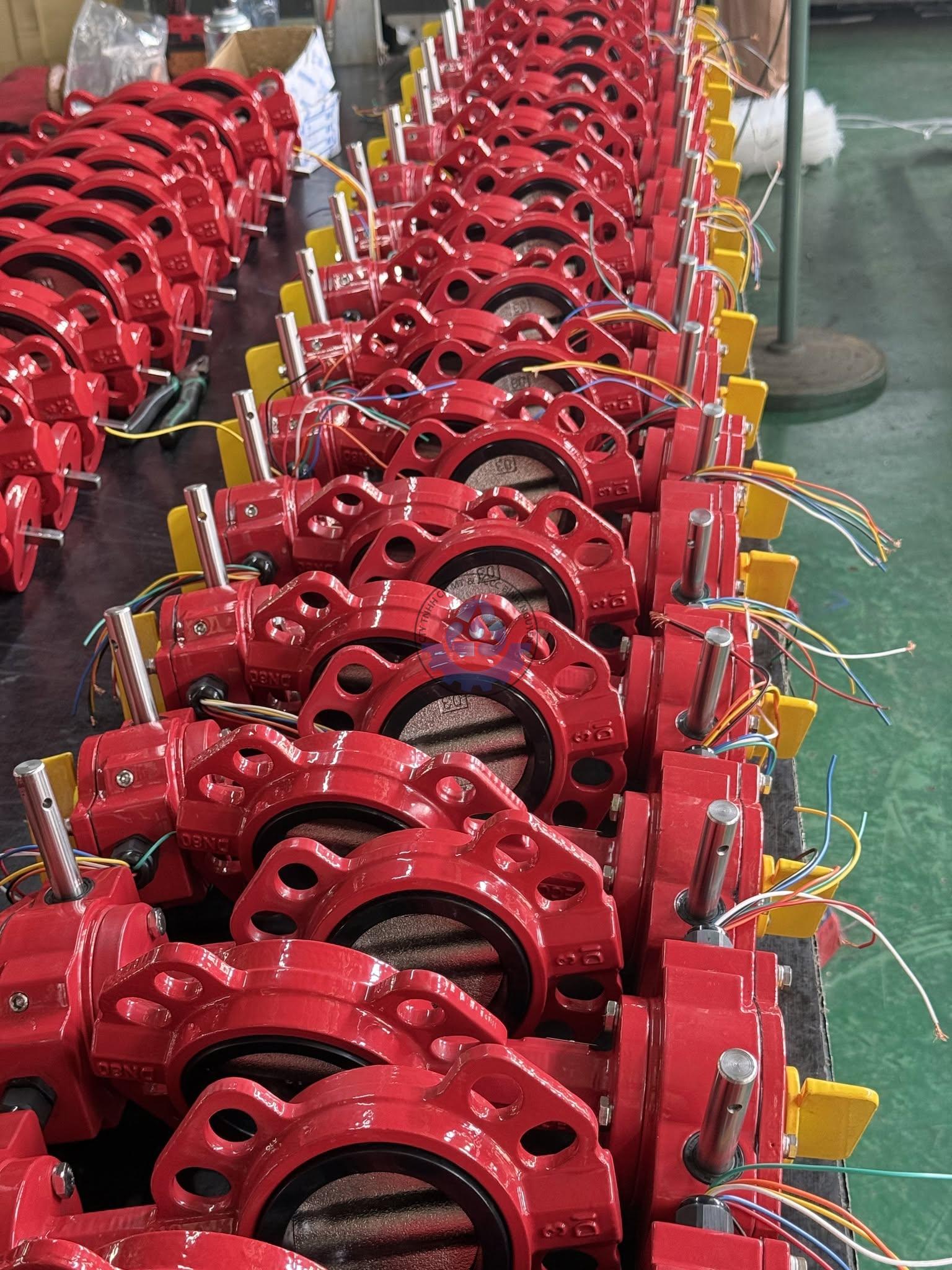 779742386_122192265338784539_442910915686745880_n
